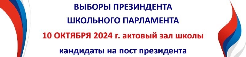 Выборы президента школьного парламента.